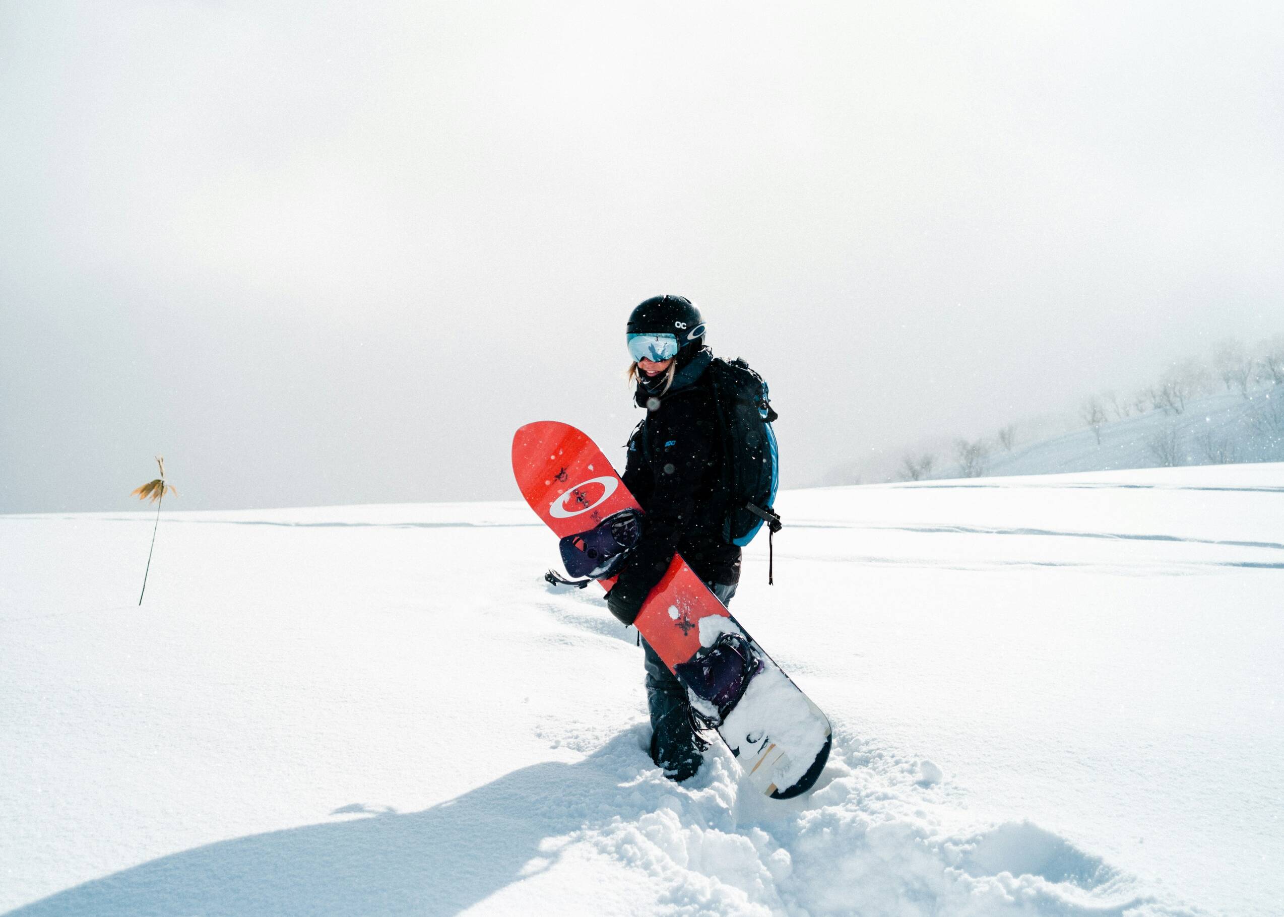 Powder Walker