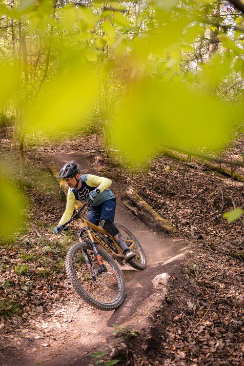 Stuttgart area, Baden-Württemberg, Germany: A male mountain biker on a Focus mountain bike ripping a dusty turn in the forest on a sunny spring day.